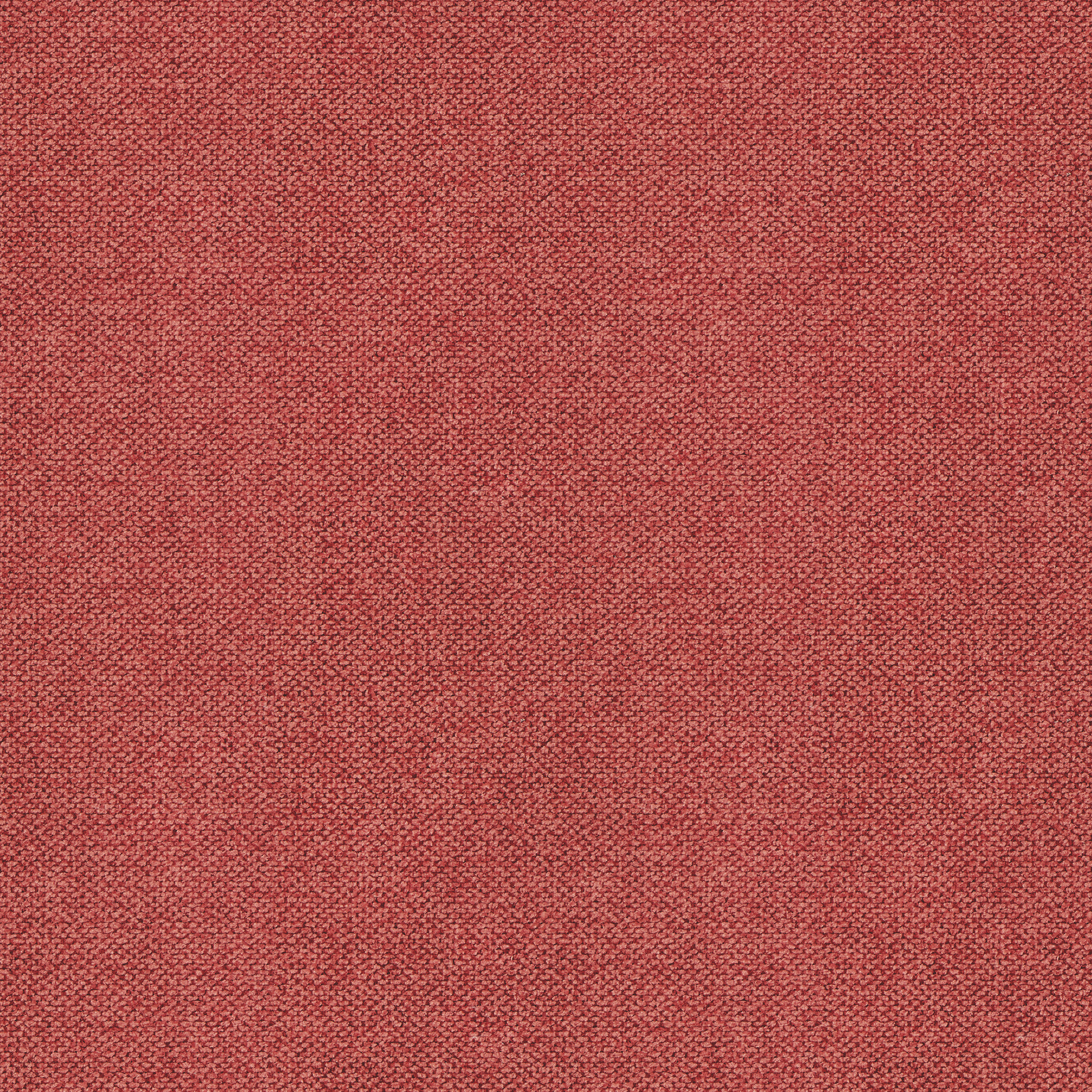 VELVETY_60